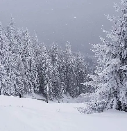 Four Seasons Josef *