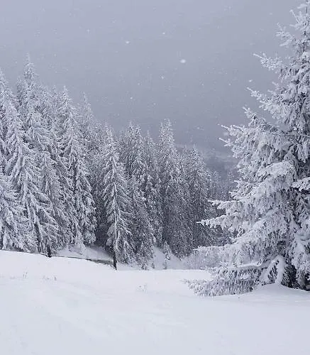 Four Seasons Josef *